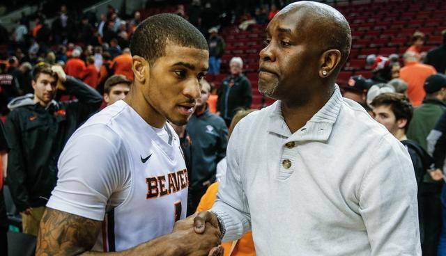 案例对比 案例对比