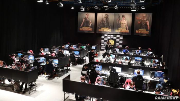 身体机能的 身体机能的