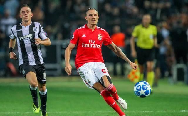 中表现出色 中表现出色