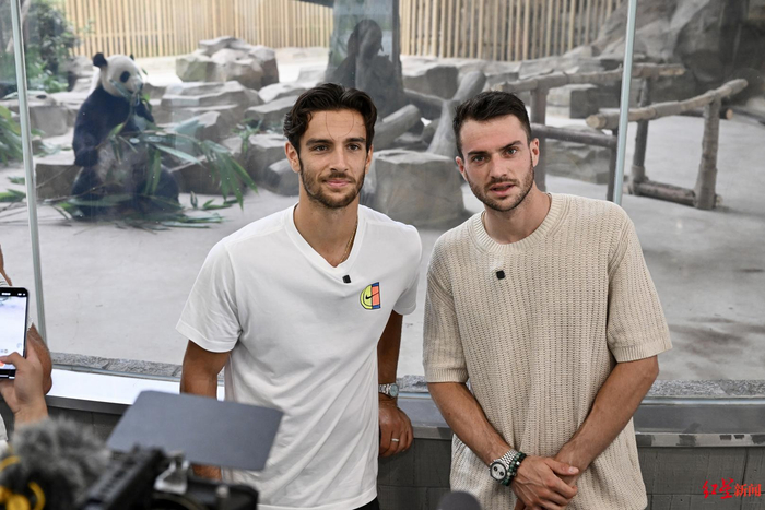 这种高质量 这种高质量