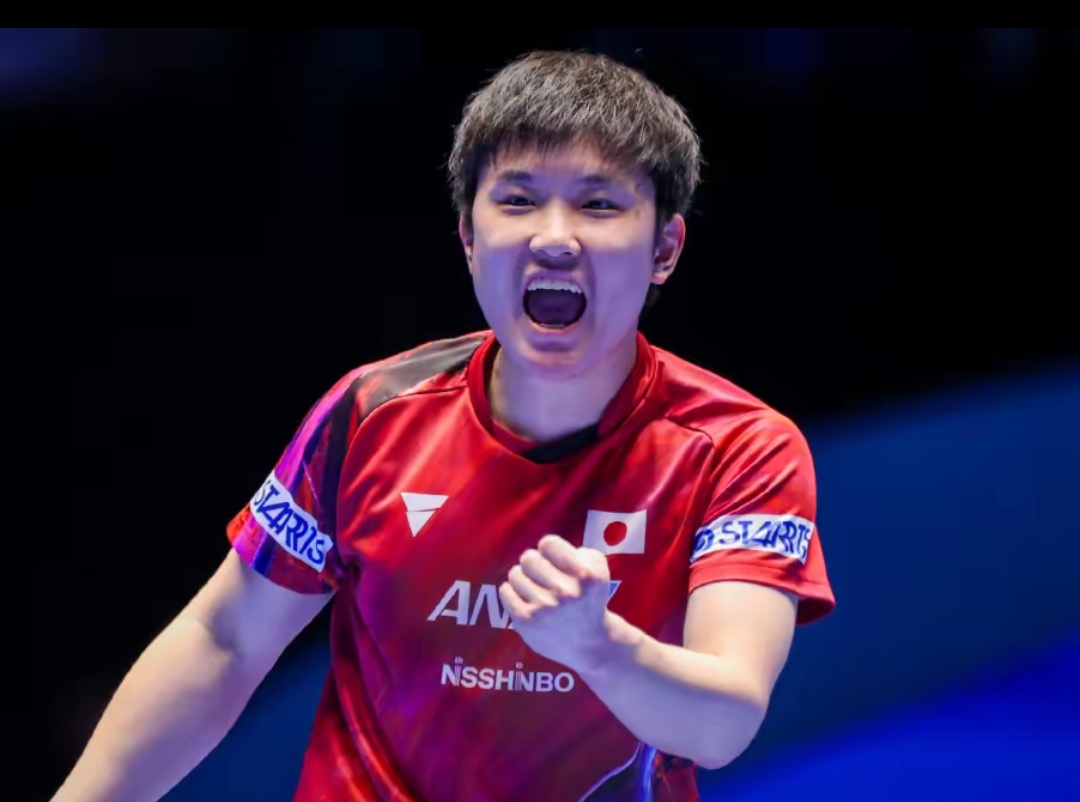 更体现在无 更体现在无